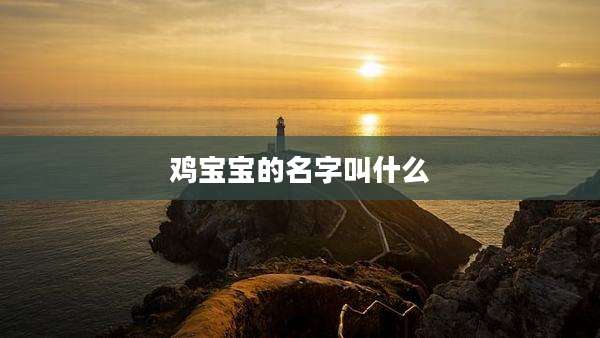 鸡宝宝的名字叫什么