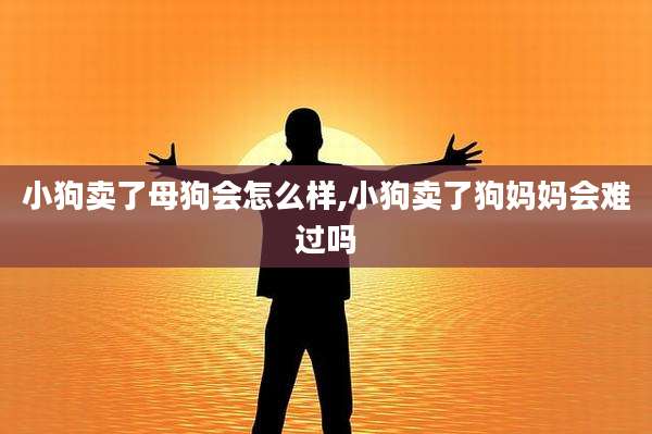小狗卖了母狗会怎么样,小狗卖了狗妈妈会难过吗
