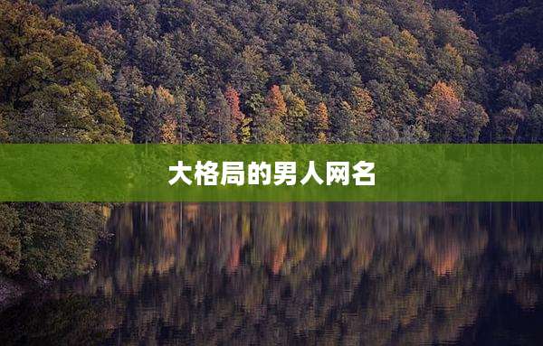 大格局的男人网名