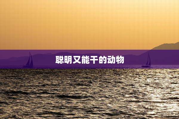 聪明又能干的动物