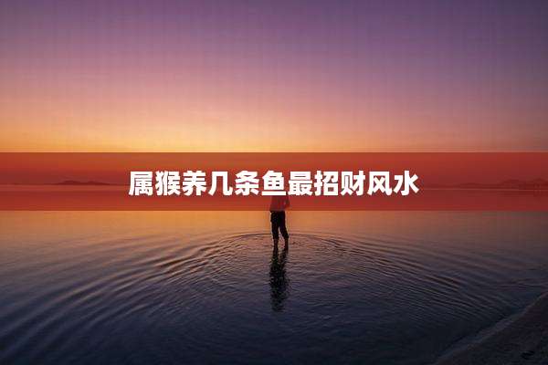 属猴养几条鱼最招财风水
