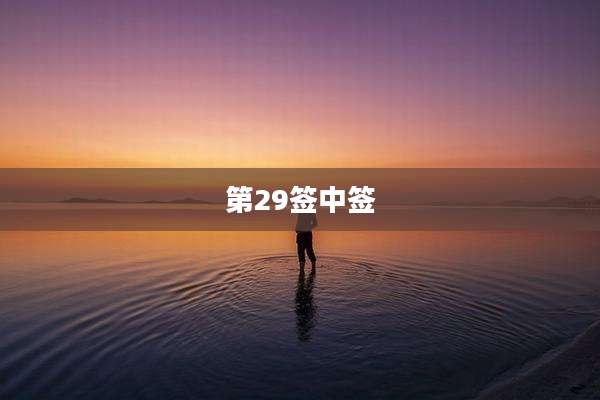 第29签中签
