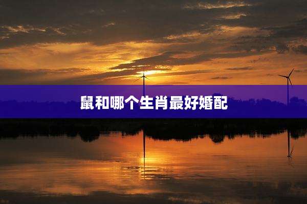 鼠和哪个生肖最好婚配