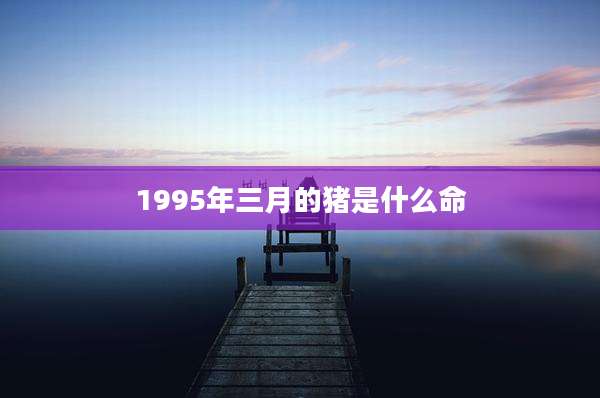 1995年三月的猪是什么命