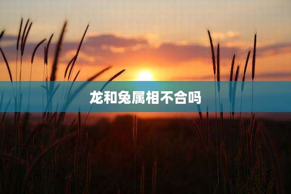 龙和兔属相不合吗