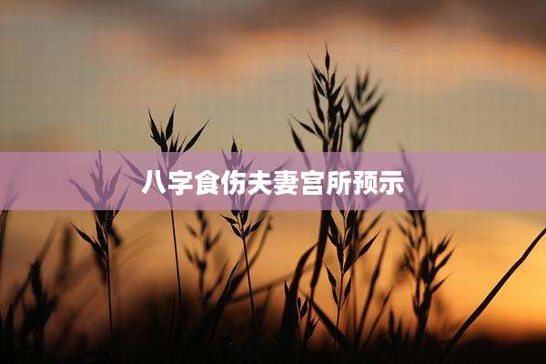 八字食伤夫妻宫所预示