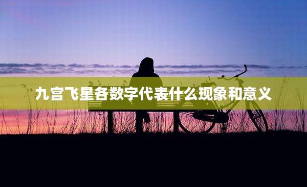 九宫飞星各数字代表什么现象和意义