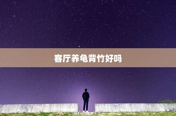 客厅养龟背竹好吗
