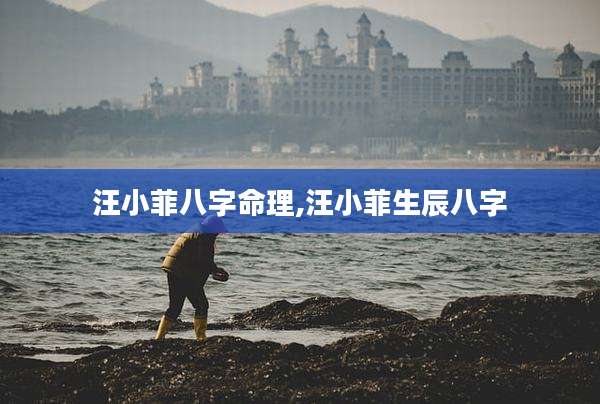 汪小菲八字命理,汪小菲生辰八字
