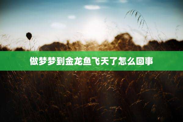 做梦梦到金龙鱼飞天了怎么回事