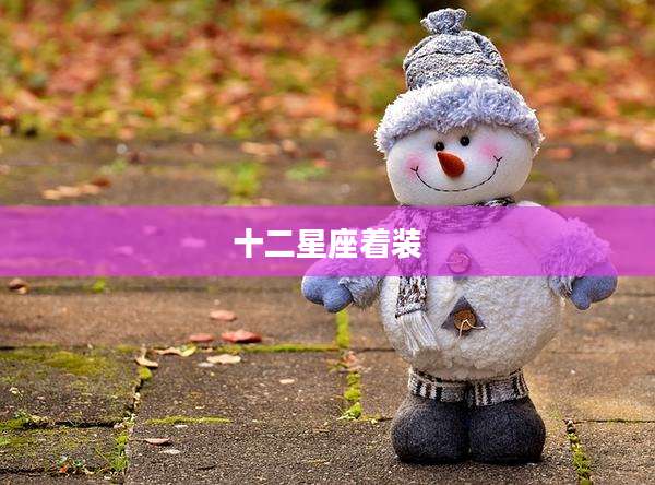 十二星座着装
