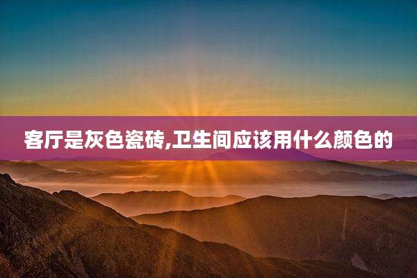 客厅是灰色瓷砖,卫生间应该用什么颜色的