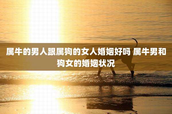 属牛的男人跟属狗的女人婚姻好吗 属牛男和狗女的婚姻状况