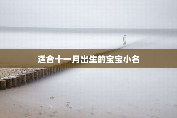 适合十一月出生的宝宝小名
