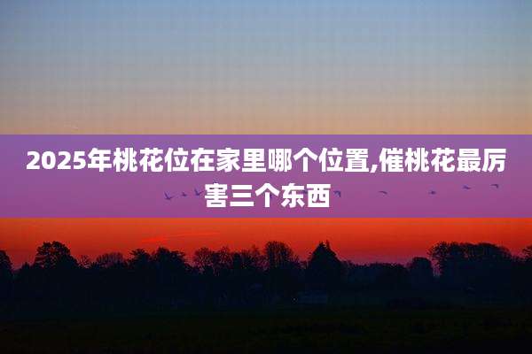 2025年桃花位在家里哪个位置,催桃花最厉害三个东西
