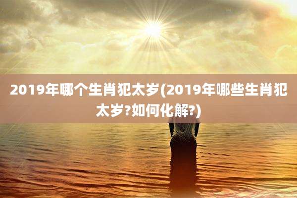 2019年哪个生肖犯太岁(2019年哪些生肖犯太岁?如何化解?)