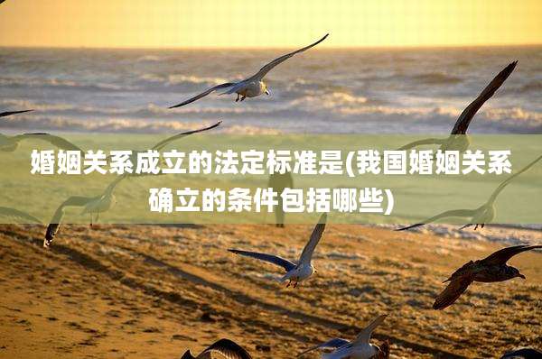 婚姻关系成立的法定标准是(我国婚姻关系确立的条件包括哪些)