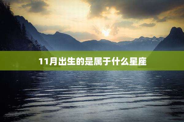 11月出生的是属于什么星座
