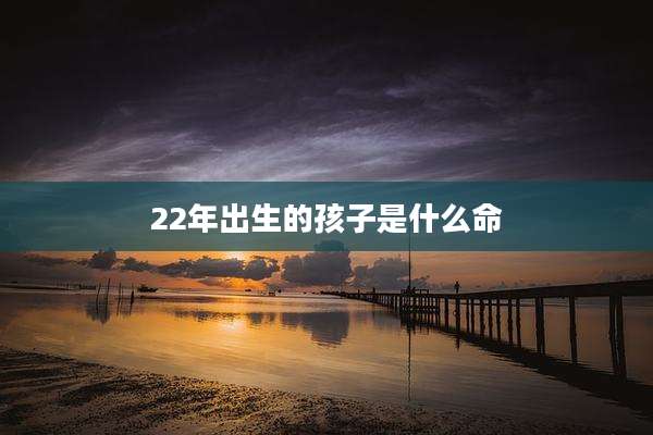 22年出生的孩子是什么命