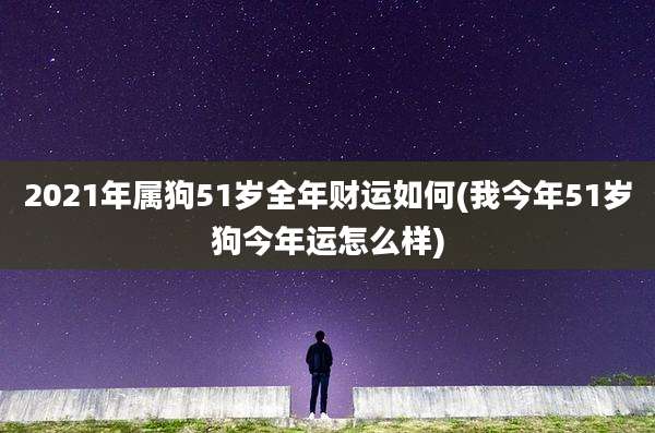 2021年属狗51岁全年财运如何(我今年51岁狗今年运怎么样)