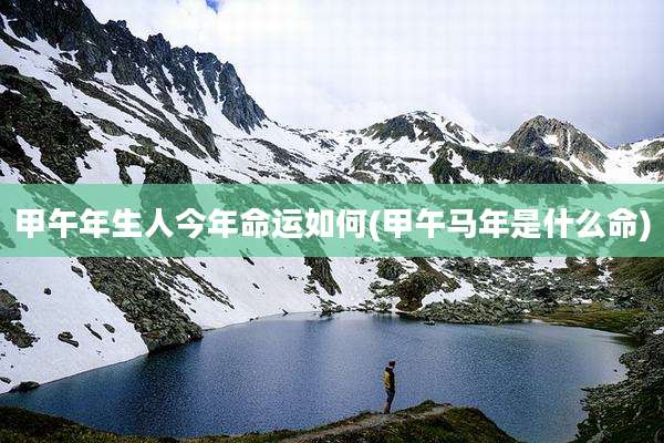 甲午年生人今年命运如何(甲午马年是什么命)
