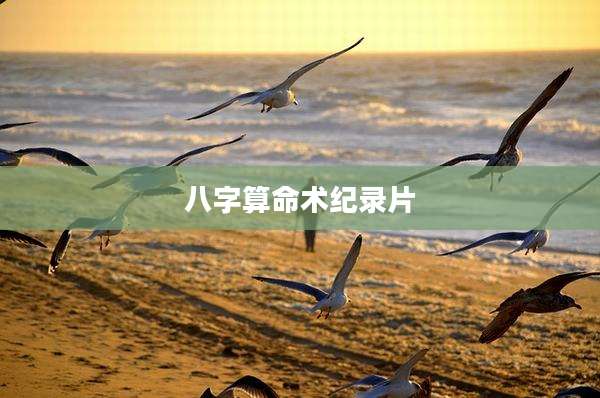 八字算命术纪录片