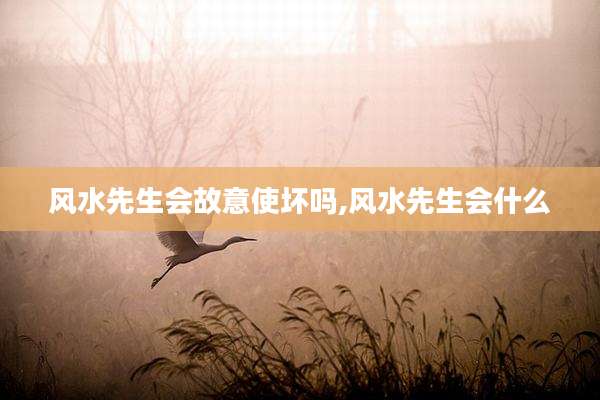 风水先生会故意使坏吗,风水先生会什么