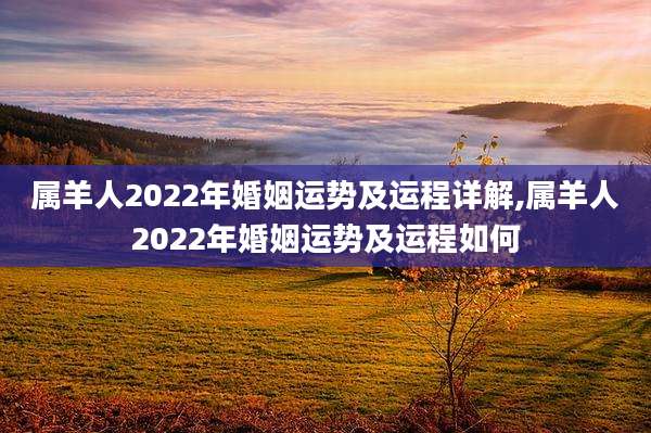 属羊人2022年婚姻运势及运程详解,属羊人2022年婚姻运势及运程如何