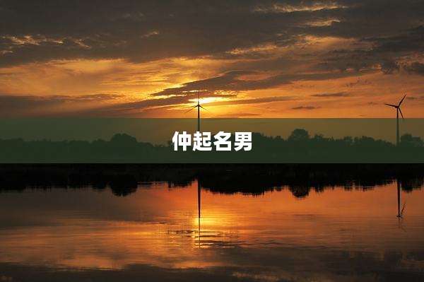 仲起名男