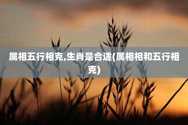 属相五行相克,生肖是合适(属相相和五行相克)