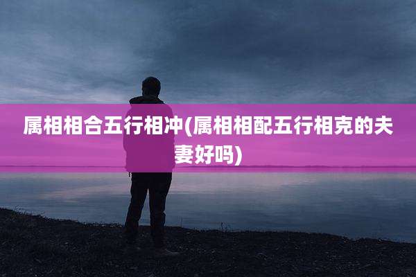 属相相合五行相冲(属相相配五行相克的夫妻好吗)
