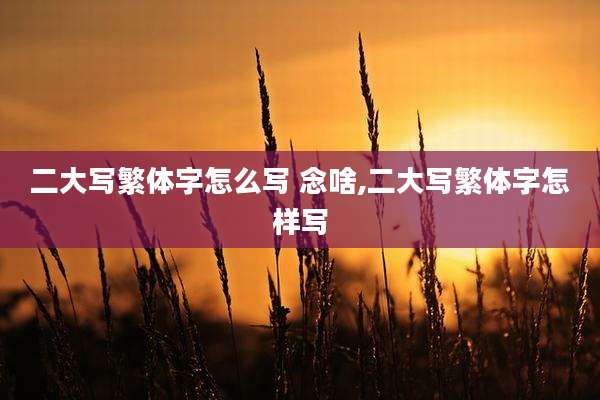 二大写繁体字怎么写 念啥,二大写繁体字怎样写