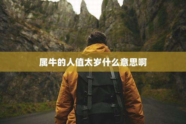 属牛的人值太岁什么意思啊