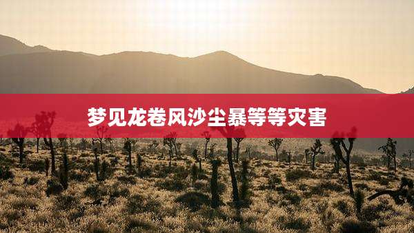 梦见龙卷风沙尘暴等等灾害