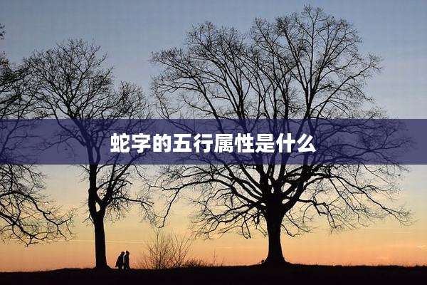 蛇字的五行属性是什么