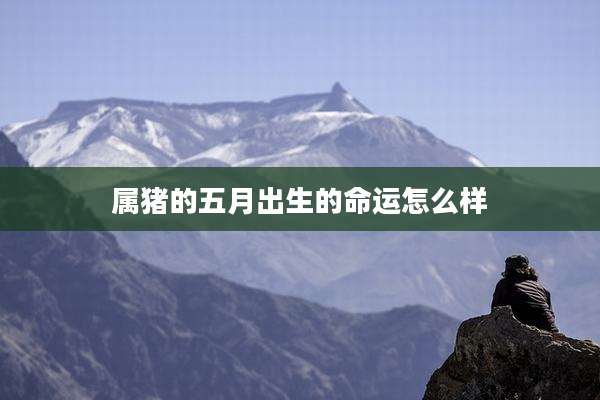 属猪的五月出生的命运怎么样