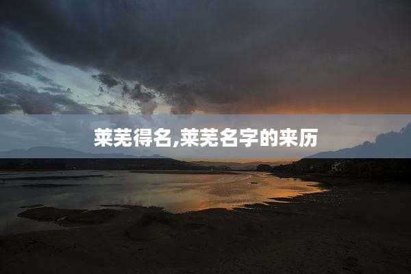 莱芜得名,莱芜名字的来历