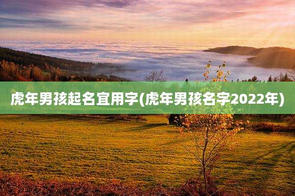 虎年男孩起名宜用字(虎年男孩名字2022年)