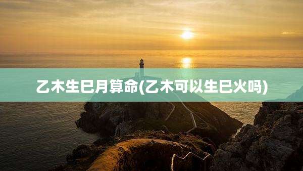 乙木生巳月算命(乙木可以生巳火吗)