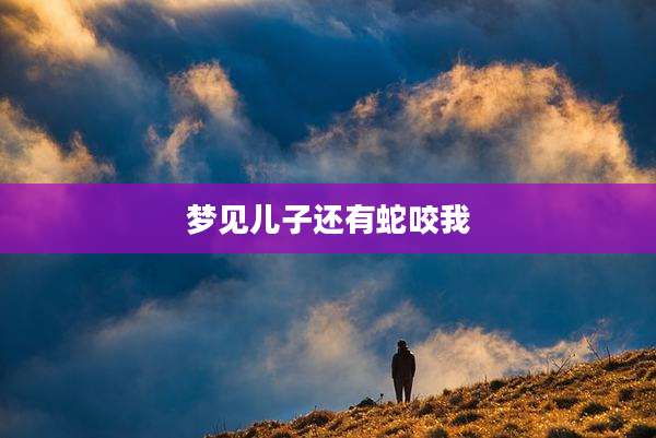 梦见儿子还有蛇咬我