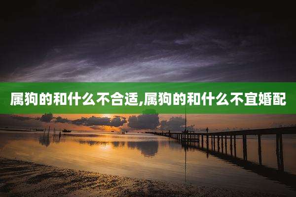 属狗的和什么不合适,属狗的和什么不宜婚配