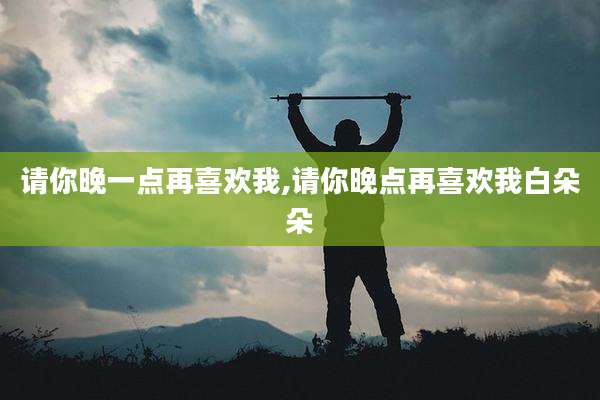 请你晚一点再喜欢我,请你晚点再喜欢我白朵朵