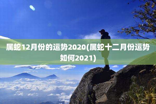 属蛇12月份的运势2020(属蛇十二月份运势如何2021)