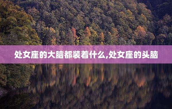 处女座的大脑都装着什么,处女座的头脑
