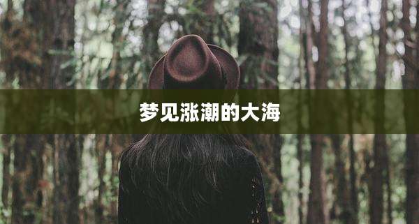 梦见涨潮的大海
