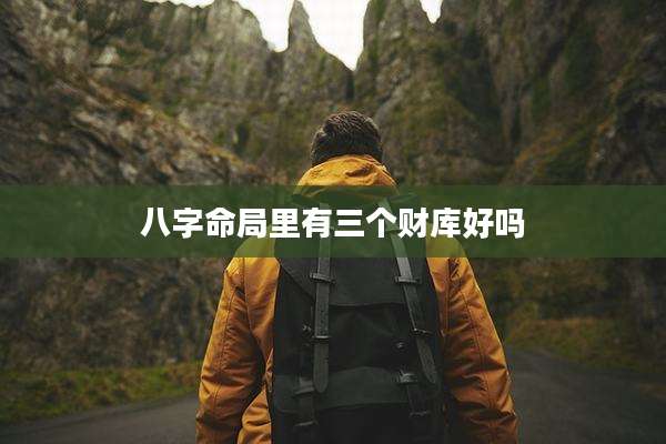 八字命局里有三个财库好吗