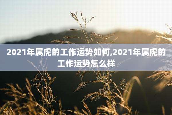 2021年属虎的工作运势如何,2021年属虎的工作运势怎么样