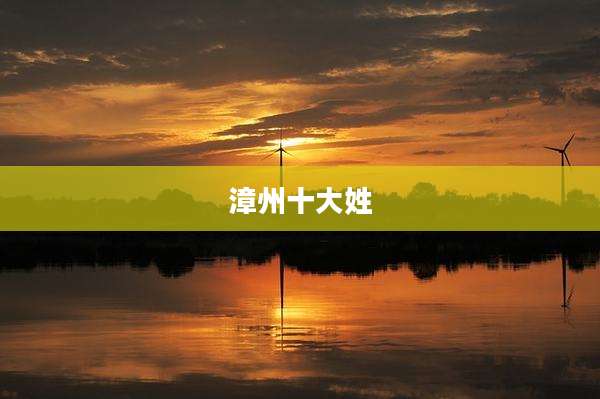 漳州十大姓