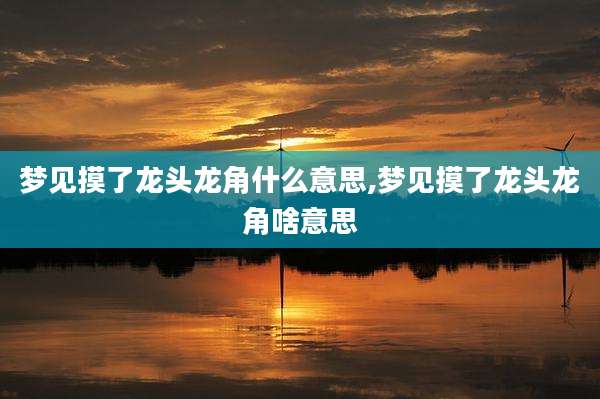 梦见摸了龙头龙角什么意思,梦见摸了龙头龙角啥意思