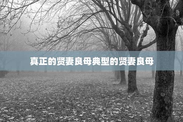 真正的贤妻良母典型的贤妻良母